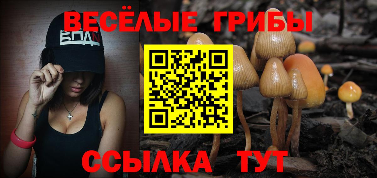 Псилоцибиновые грибы ЛСД Калуга
