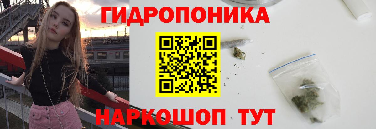 Канабис план Калуга